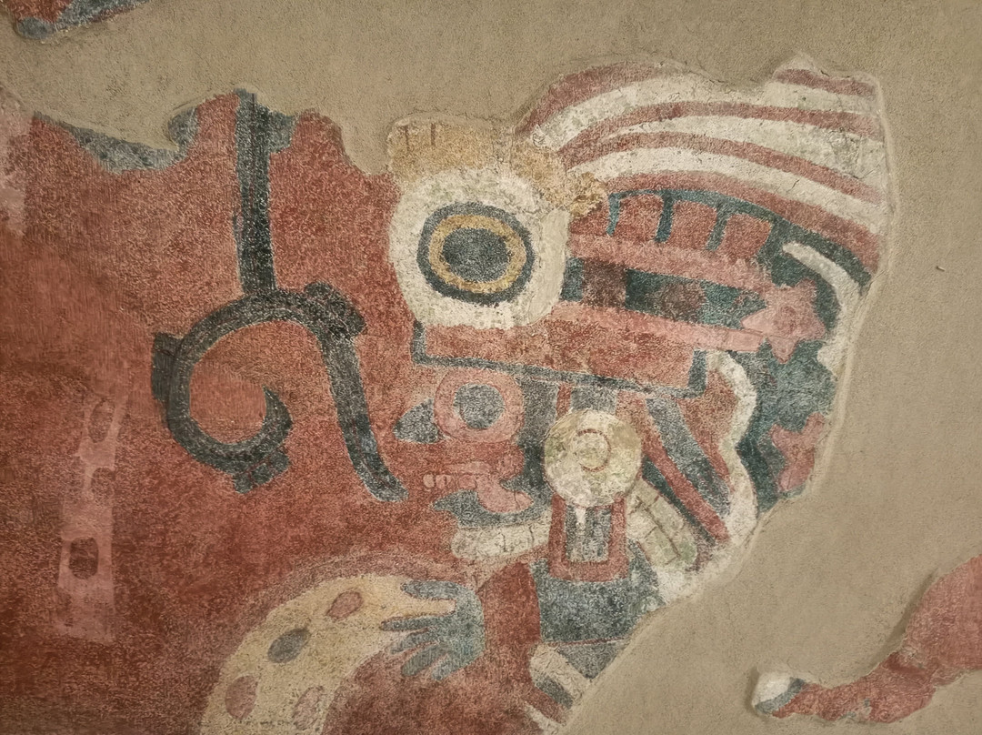 Museo De Los Murales Teotihuacanos - Beatriz de La Fuente景点图片