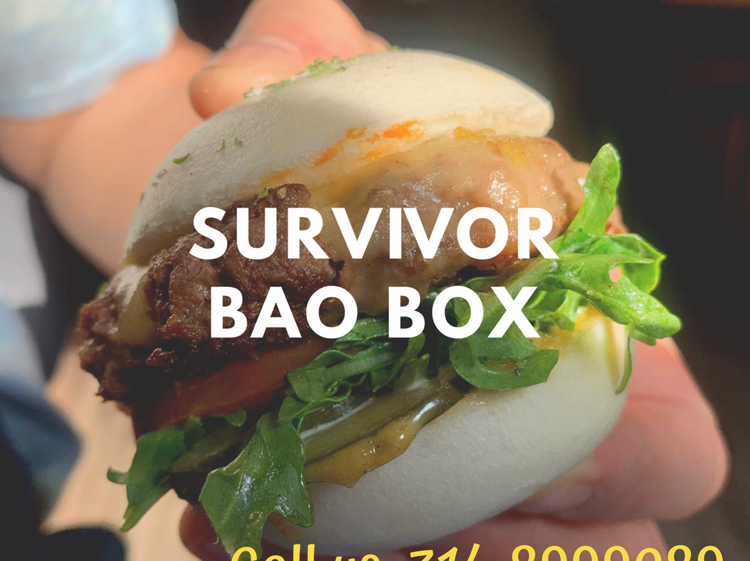 The BAO