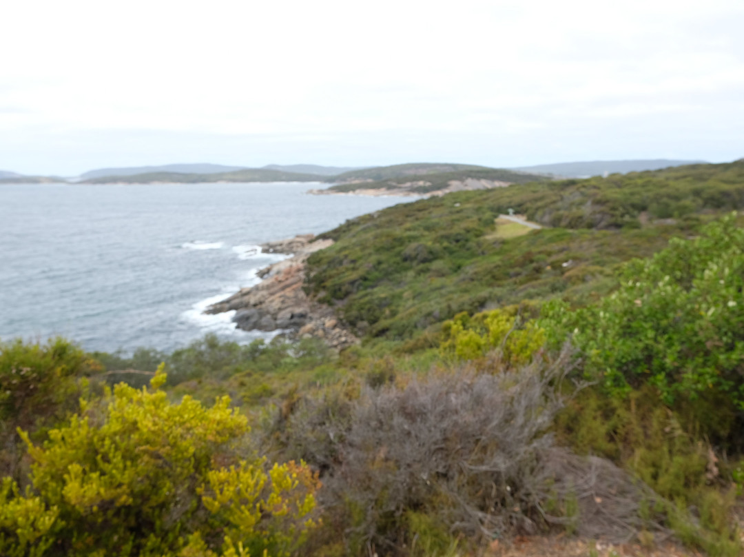 Ellen Cove Boardwalk-奥尔巴尼必去景点