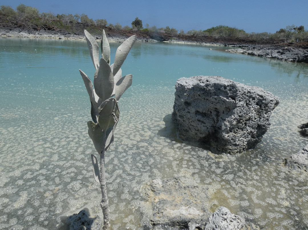 Rosa Blanca-圣克里斯托瓦尔必去景点