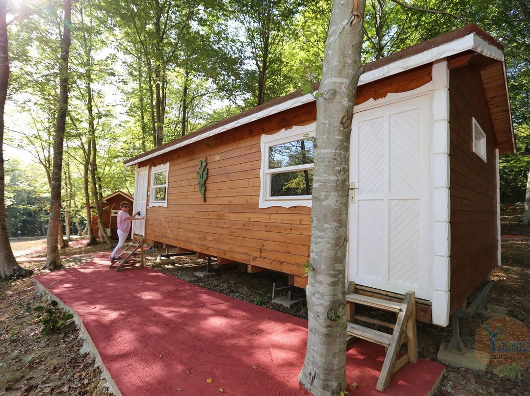 Yildiz Country Hotel主图