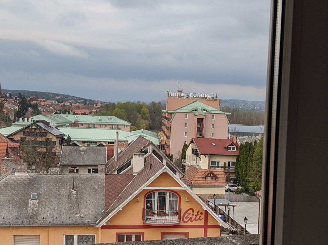 哈维兹宫殿酒店主图