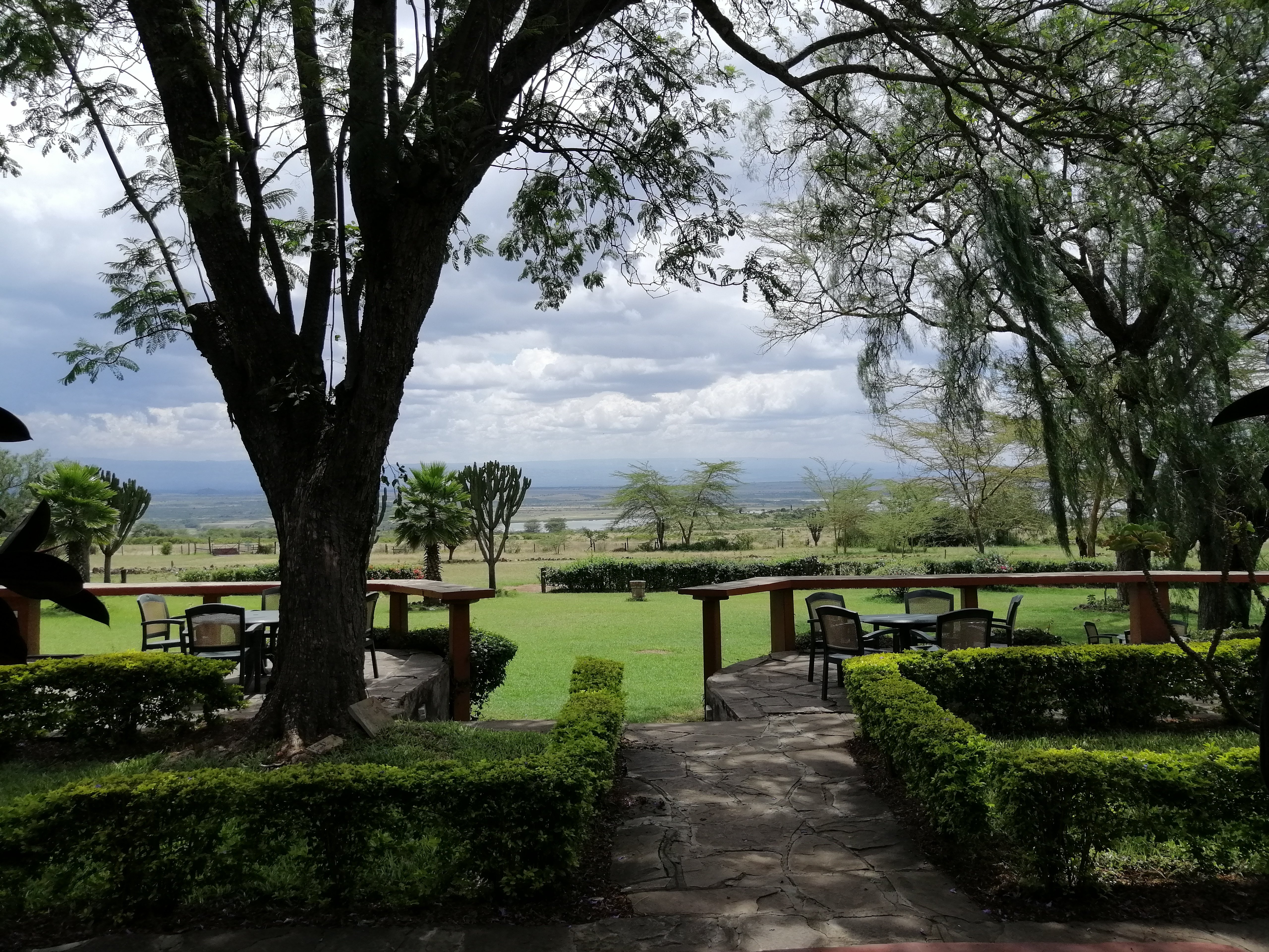 Jacaranda Lake Elementeita Lodge-餐饮