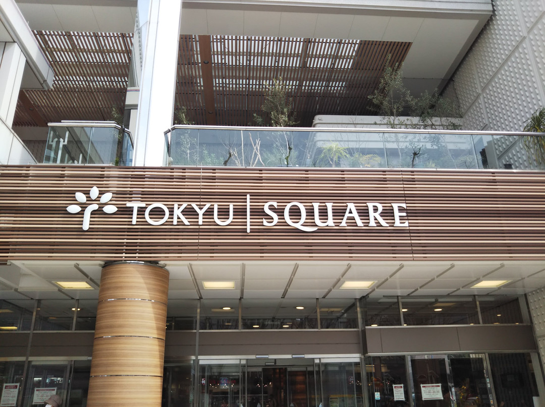 Chuo Rinkan Tokyu Square景点图片
