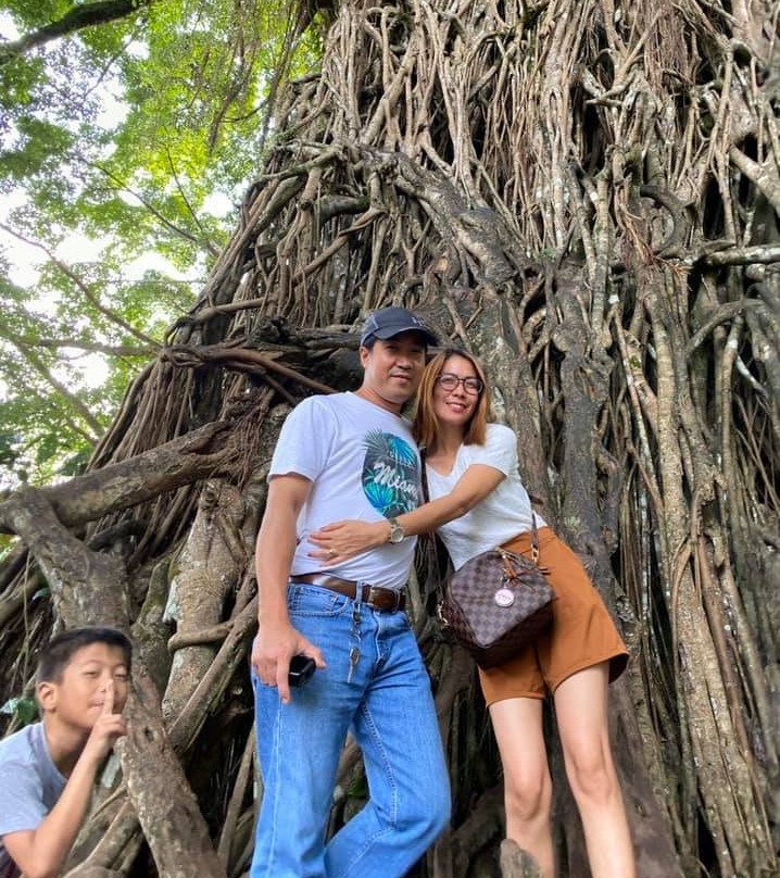 Millennium Tree (Balete tree)景点图片