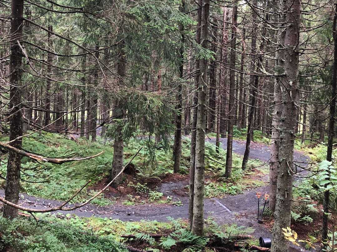 Offroad E-bike Adventure-奥斯陆必去景点