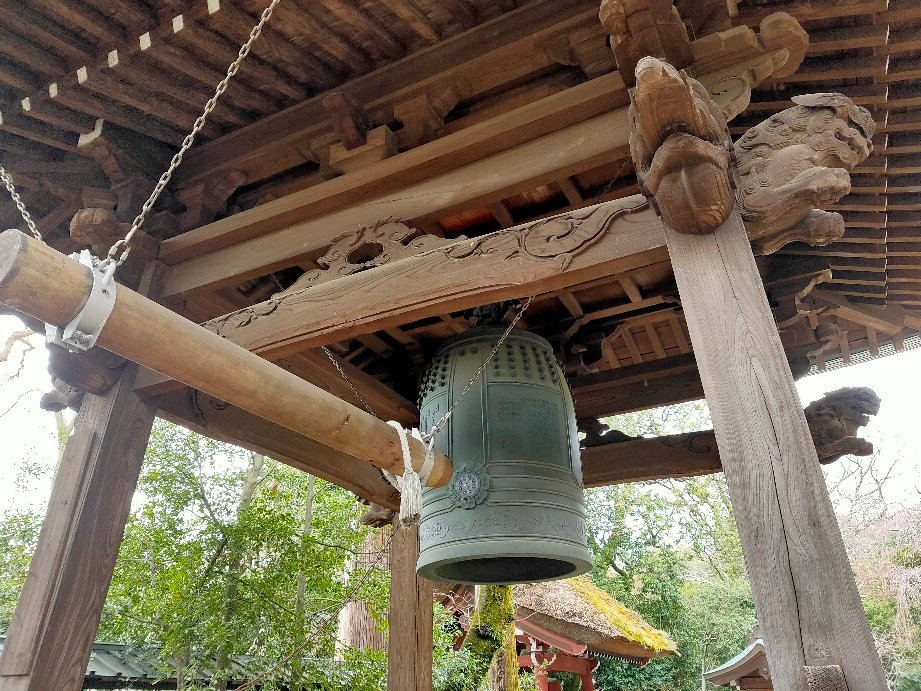 Jindai-ji Temple Shoro-调布市必去景点