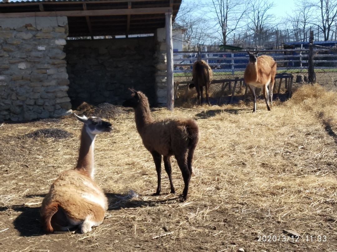 Frumushika-Nova-Starosillya必去景点