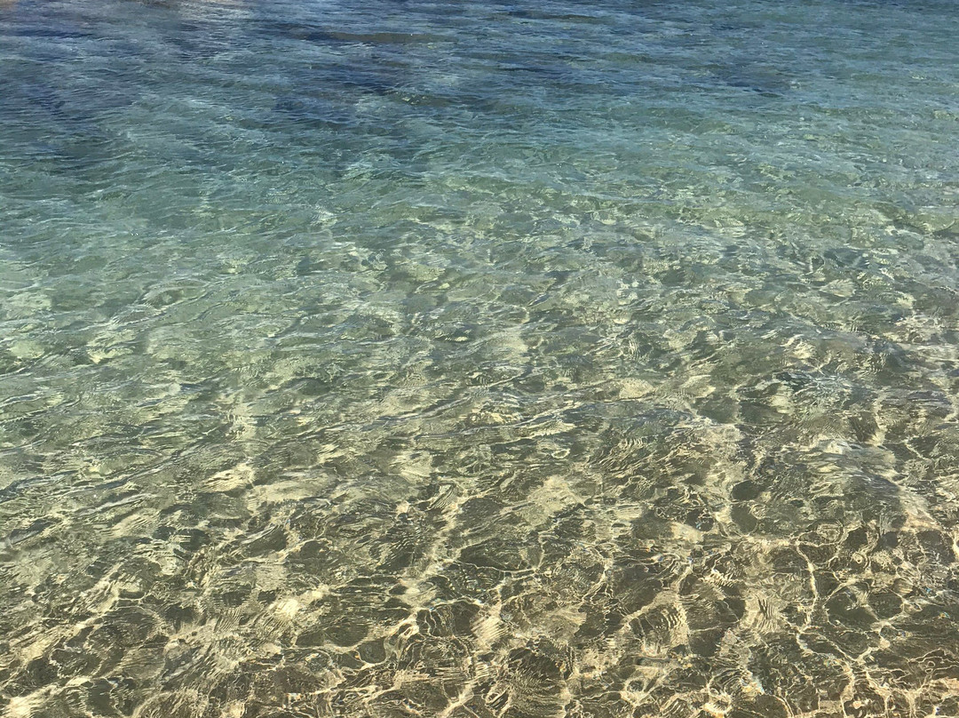 Bathway Beach-River Sallee必去景点