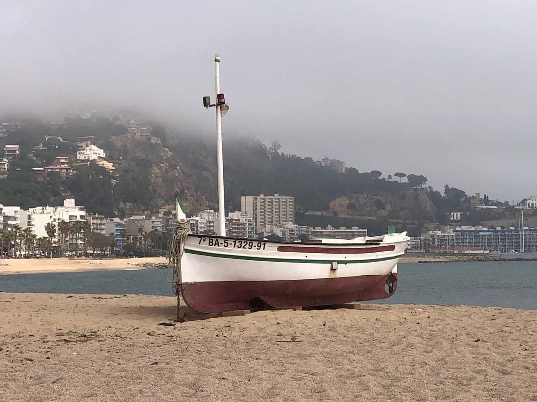 Portal de la Costa Brava景点图片