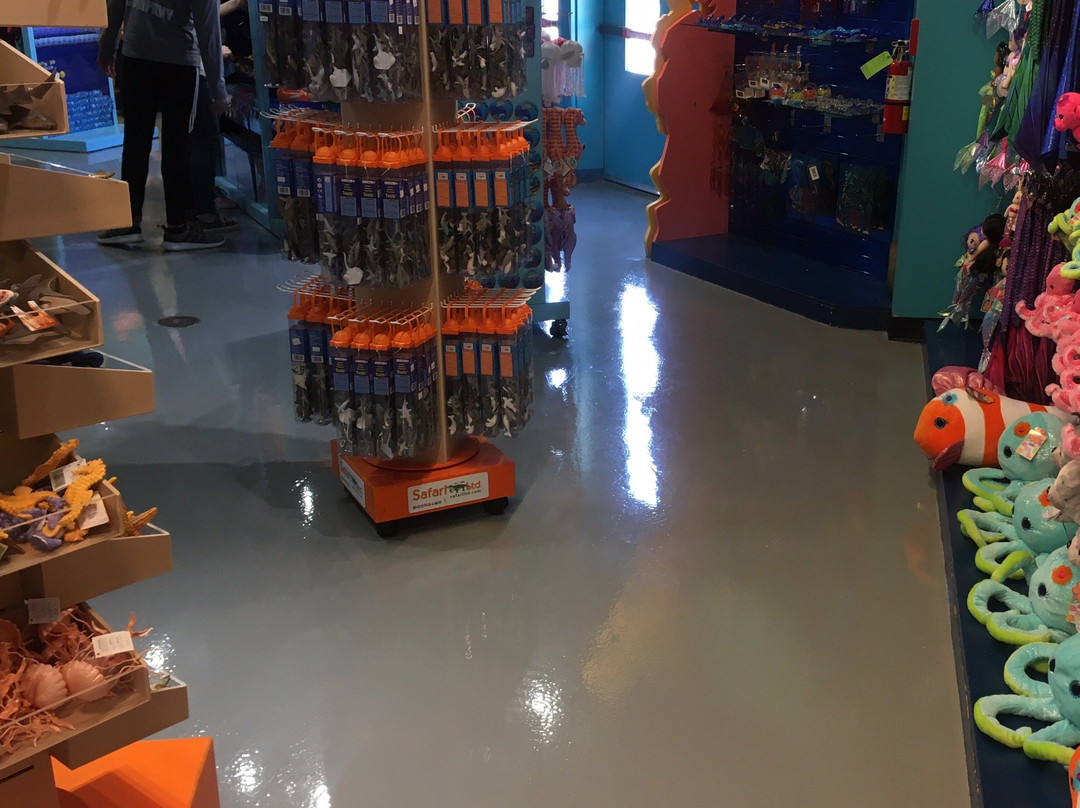 SEA LIFE Grapevine-葡萄藤必去景点