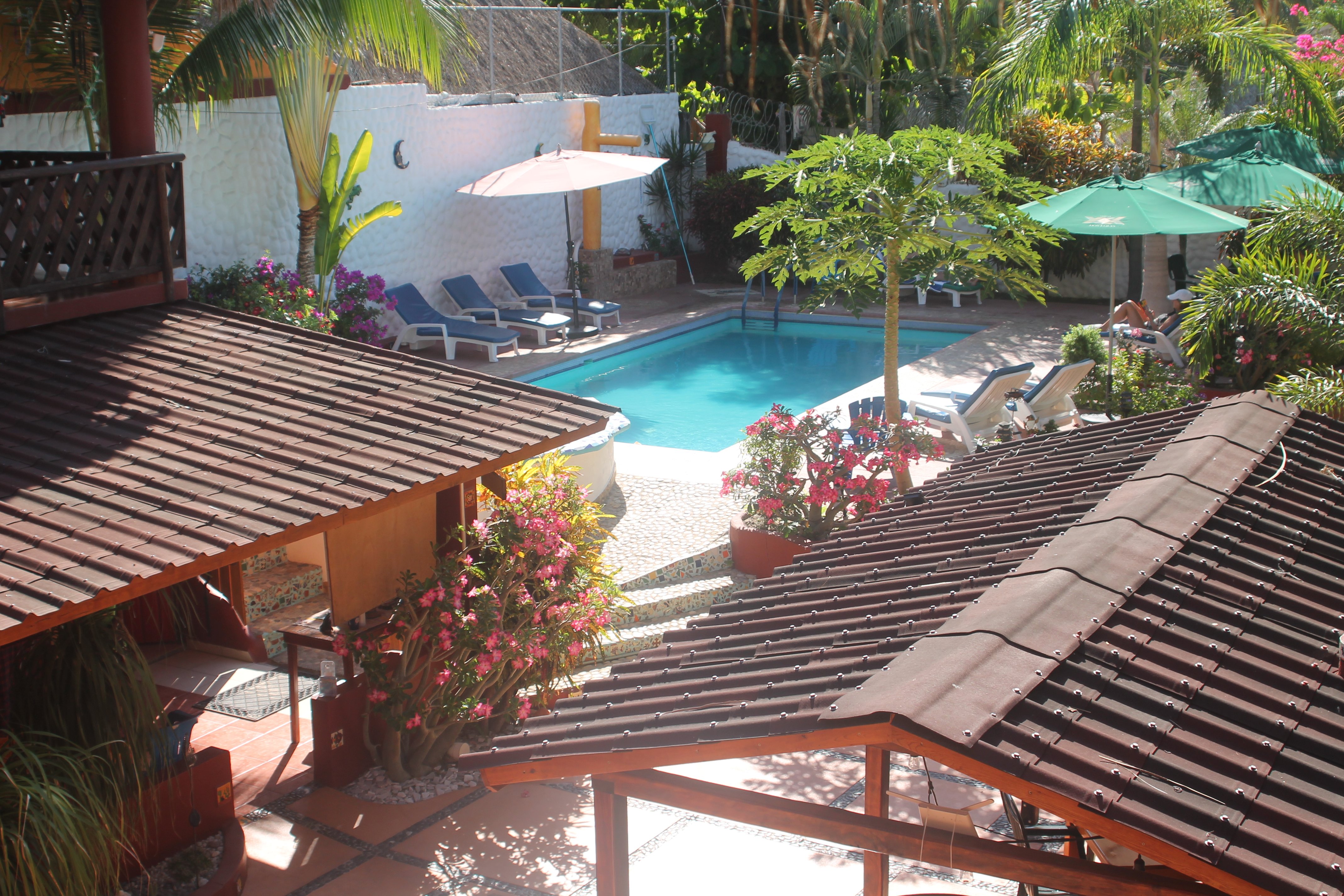 Hotelito Swiss Oasis-泳池