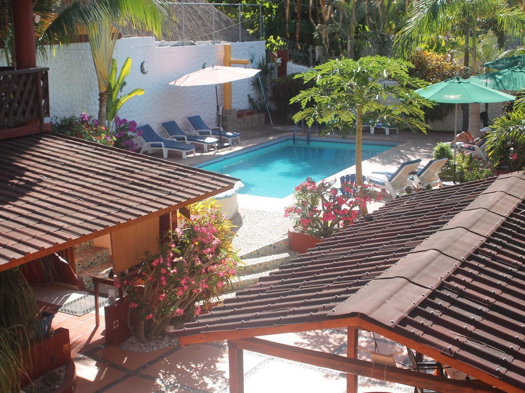 Hotelito Swiss Oasis主图