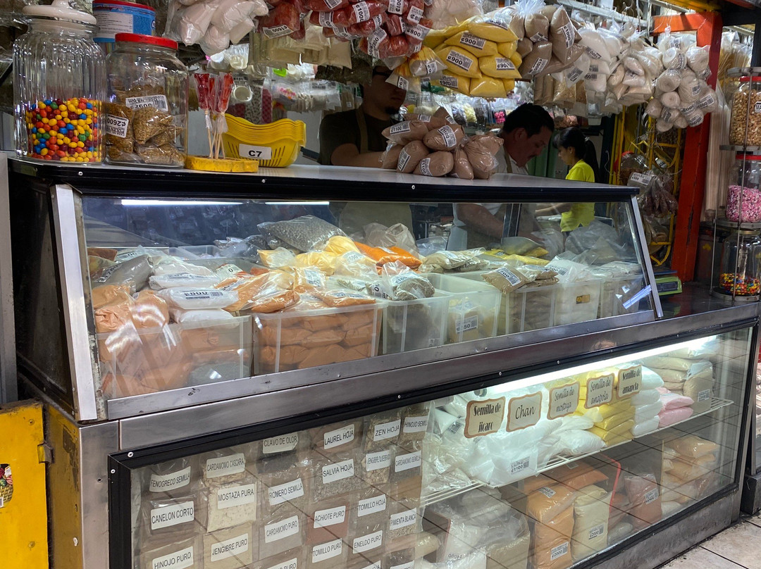 VIP City Bus-圣何塞必去景点