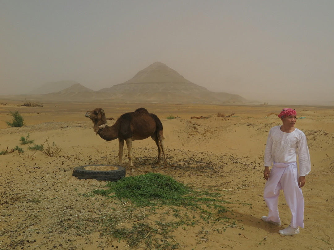 Old Bawiti White desert景点图片