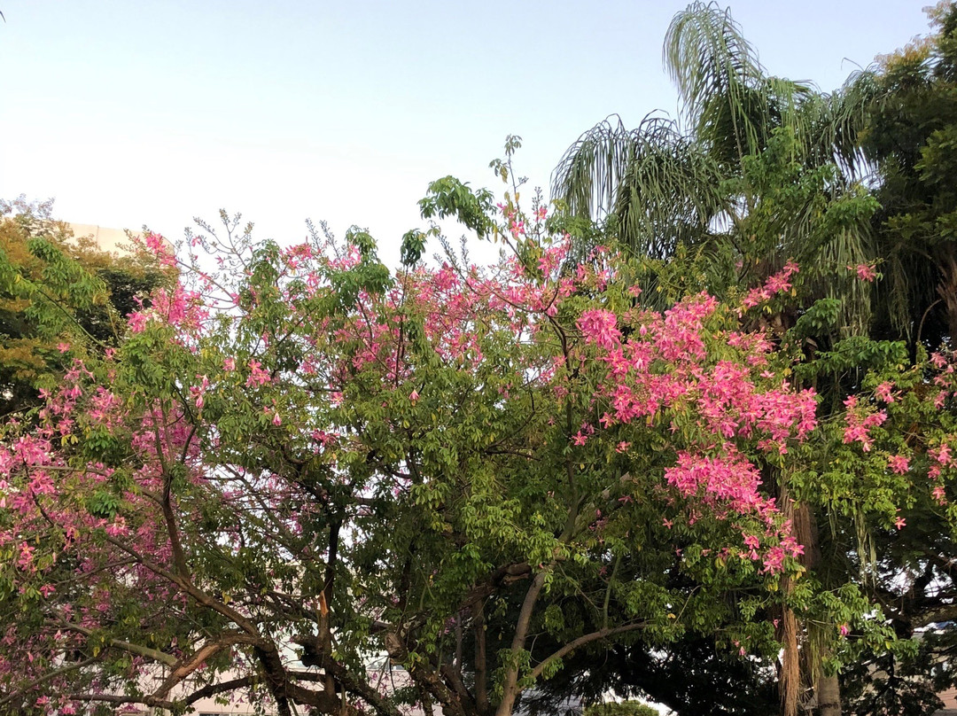 Cataratas JL Shopping-伊瓜苏必去景点