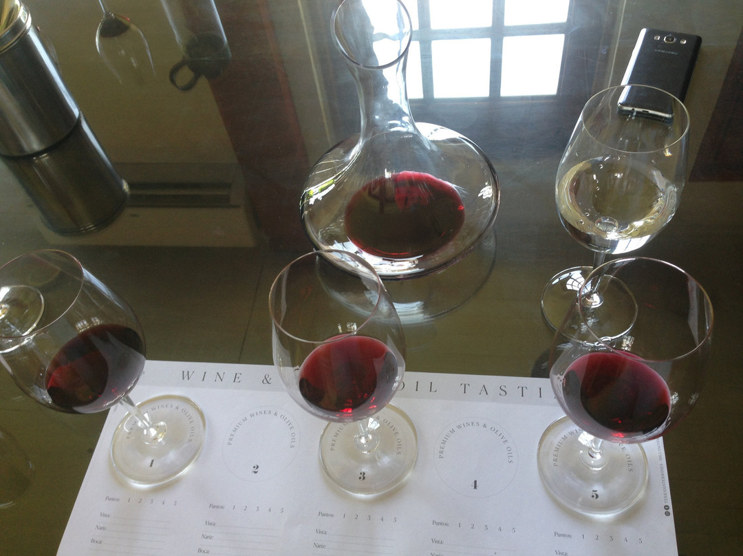 Vina TerraMater-Isla de Maipo必去景点