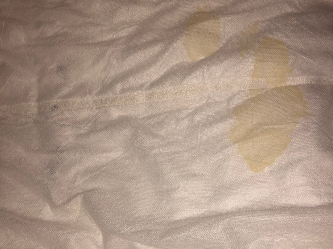 South Beach Hotel主图