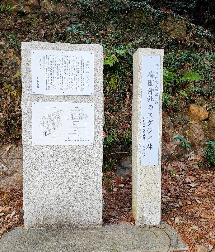 Umezono Shrine-越生町必去景点