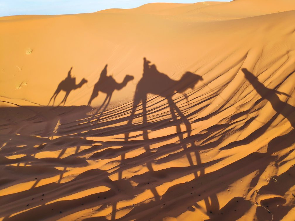 Camel Bivouac Merzouga-Hassilabied必去景点