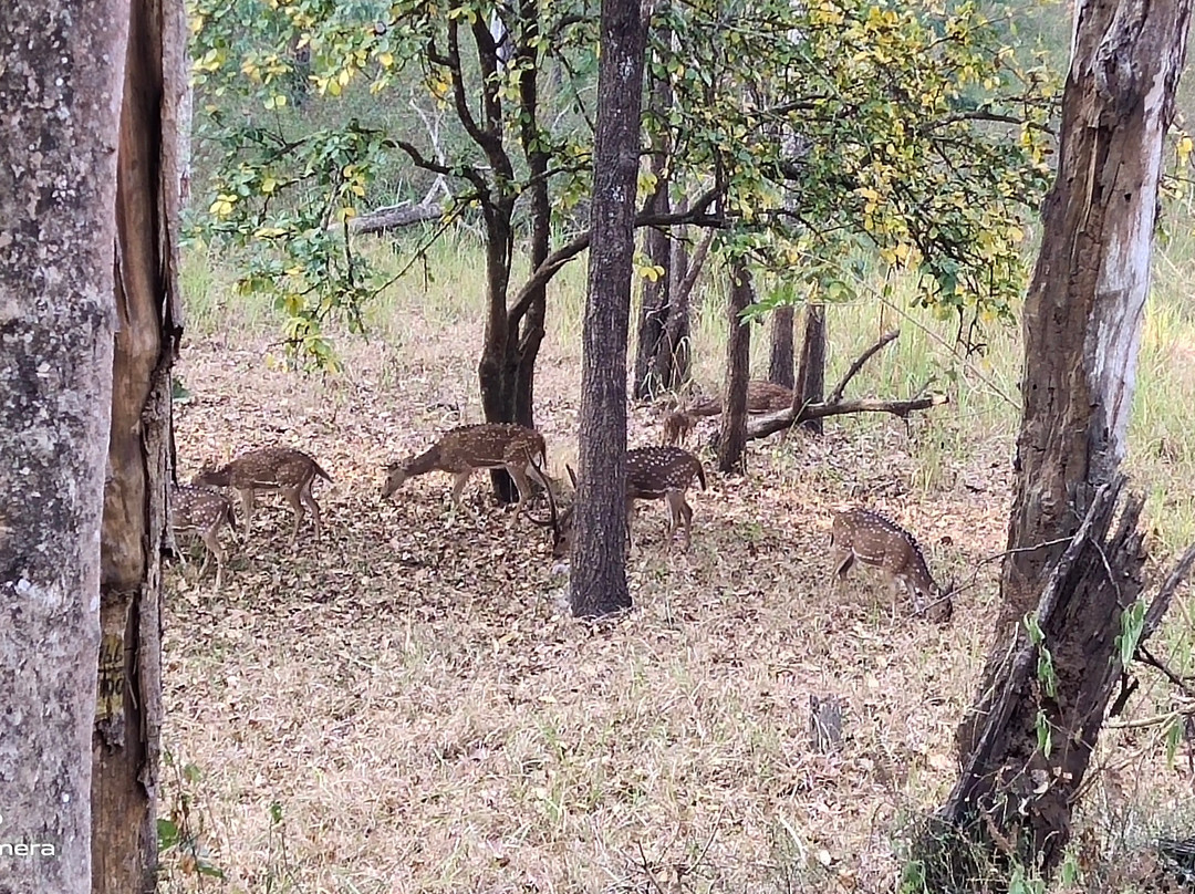 Muthanga Wildlife Sanctuary-Muthanga必去景点