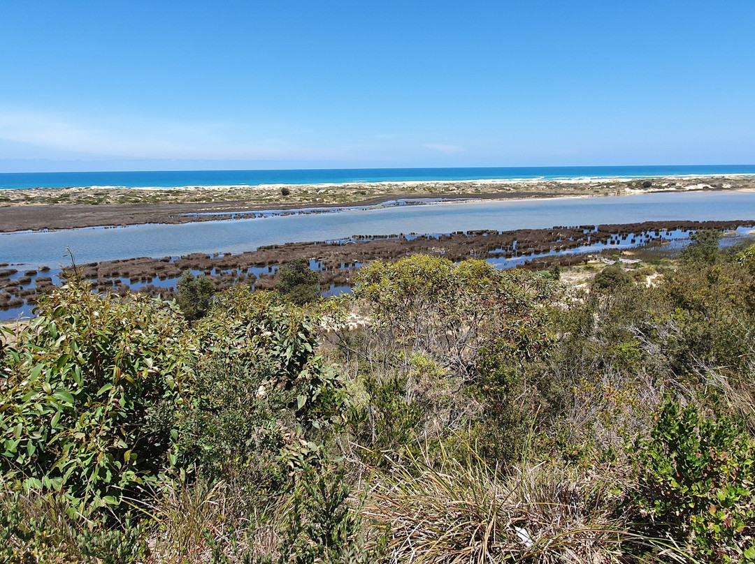 Snowy River Estuary Walk-Marlo必去景点