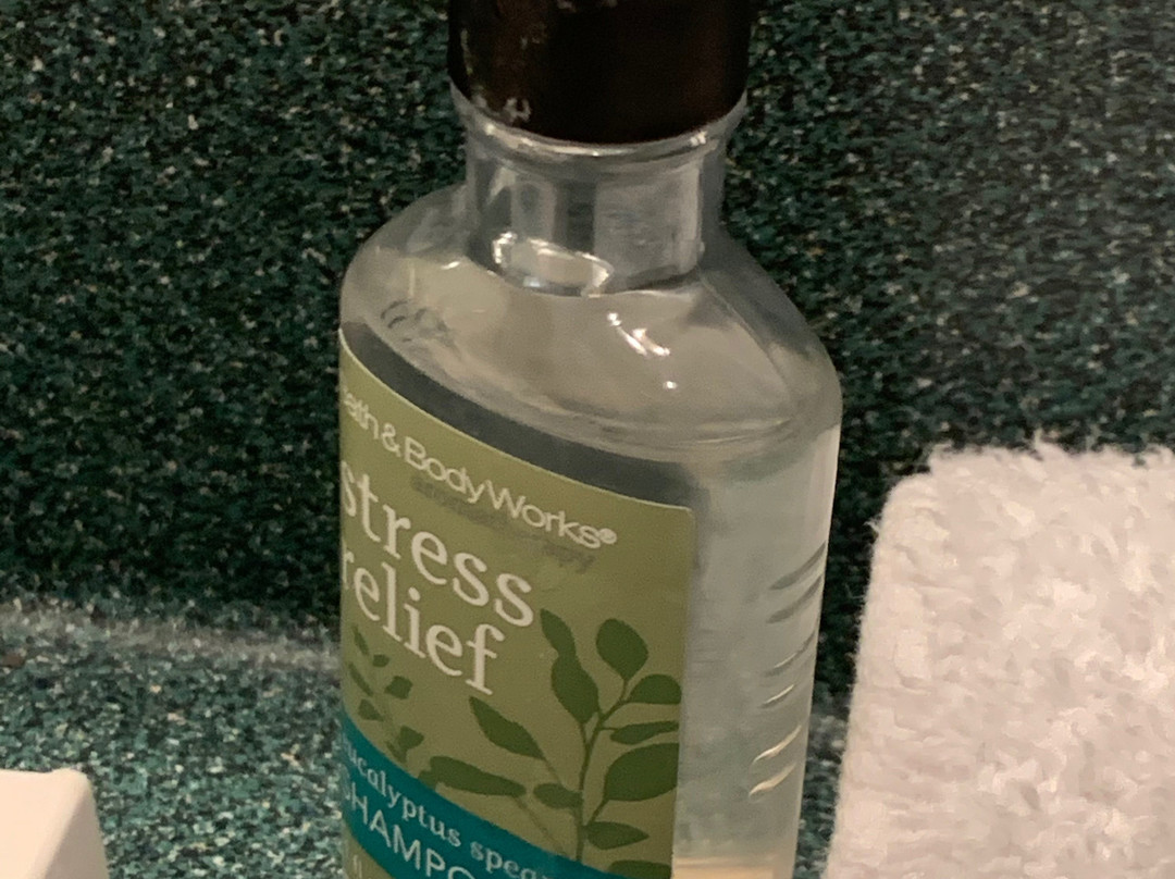 The Lodge At Bretton Woods主图