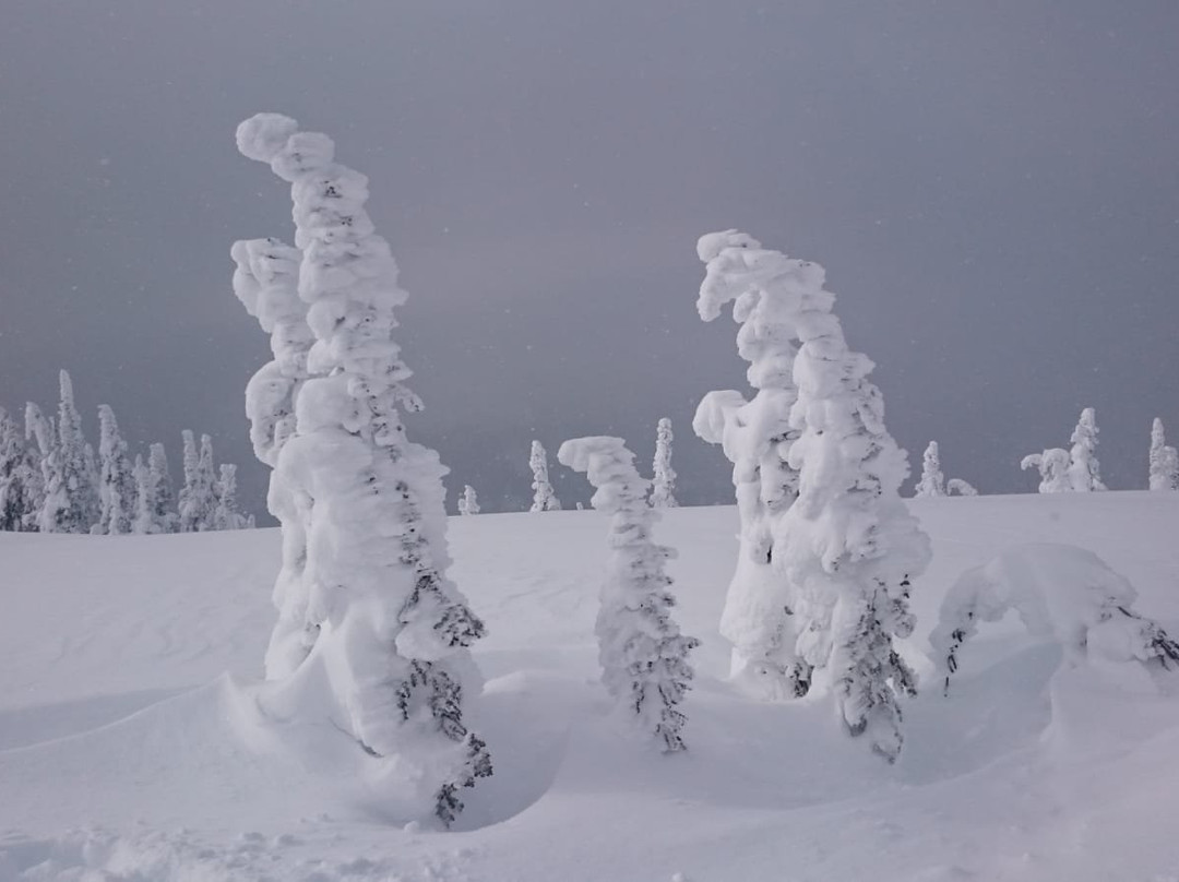 K3 Catskiing-雷夫尔斯托克必去景点