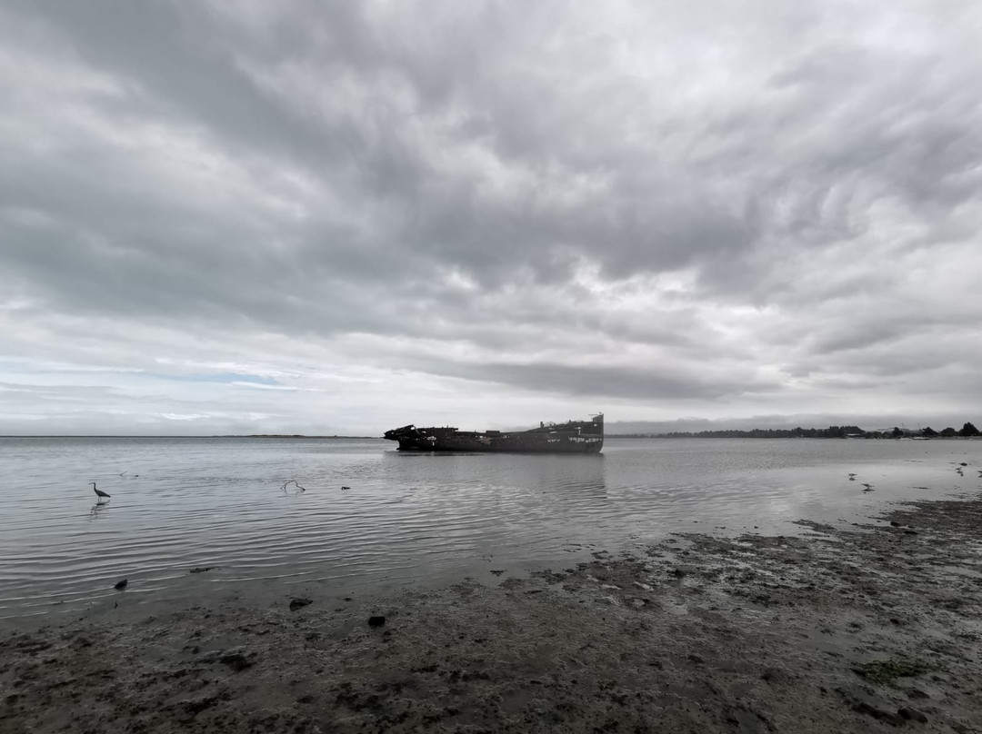 Wreck of the Janie Seddon景点图片