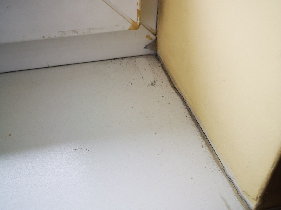 Best Baltic Hotel Palanga主图