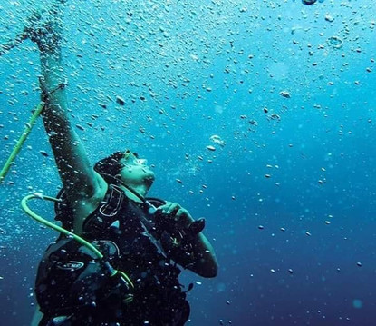 Mundo Submarino-韦拉克鲁斯必去景点