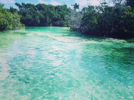 Aquaholics Charters-基韦斯特必去景点