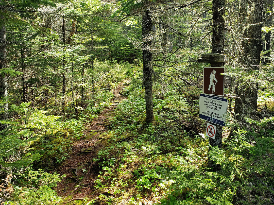 Belding's Reef Nature Preserve-Chance Harbour必去景点
