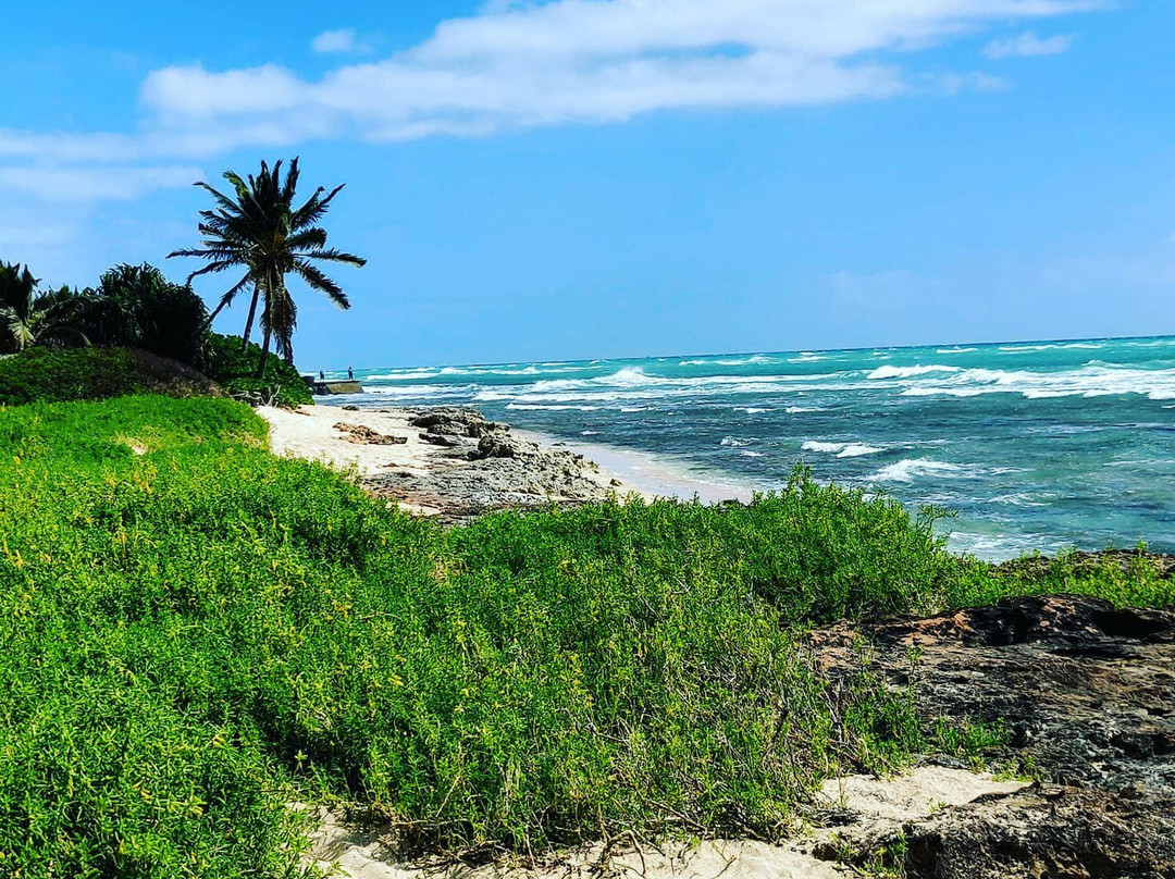 Barber's Point Lighthouse-考普雷必去景点
