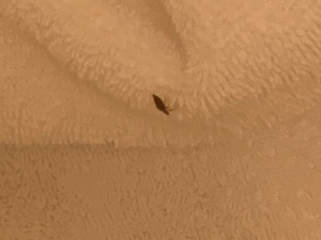 特雷霍特 SpringHill Suites 酒店主图