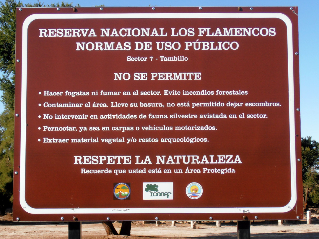 Reserva Nacional de Flamencos景点图片