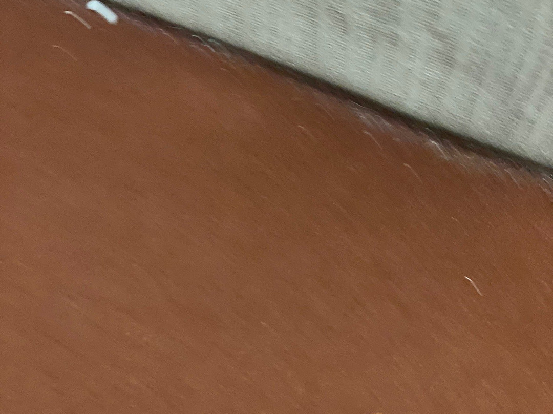 Super 8 by Wyndham Lafayette / Purdue Area主图