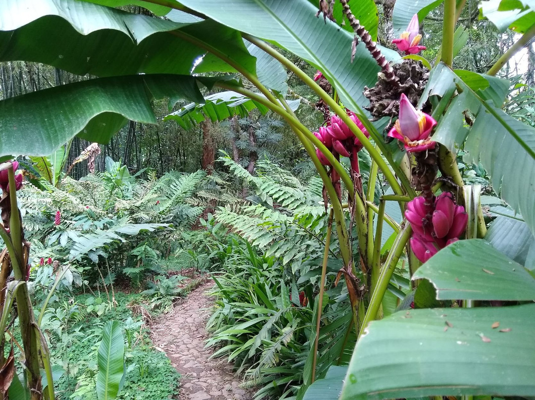 Jardin Botanico Los Balsos-Jerico必去景点
