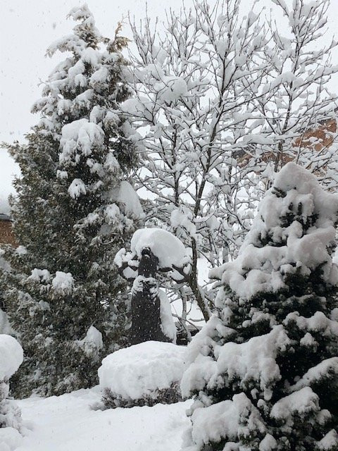 Le Cerf Amoureux主图