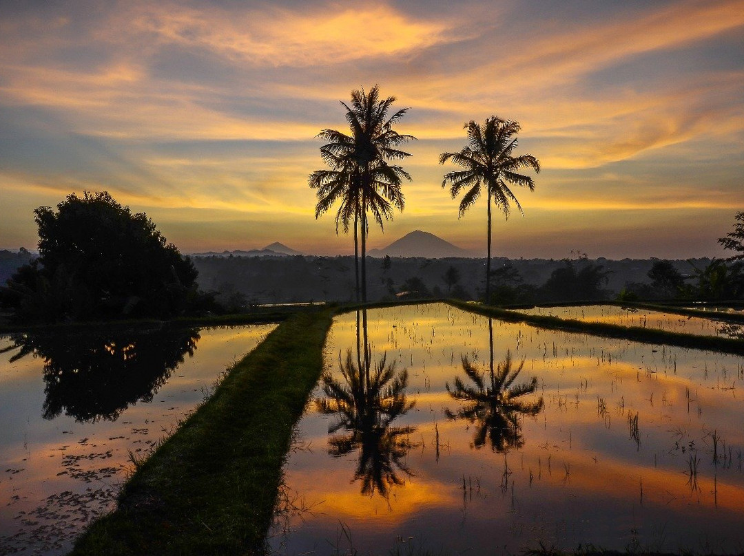 Winata Bali Tours-Jatiluwih必去景点