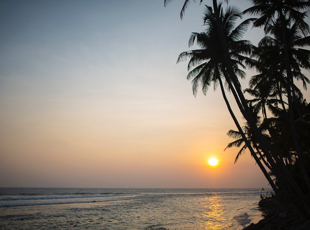 Turtle Eco Beach主图