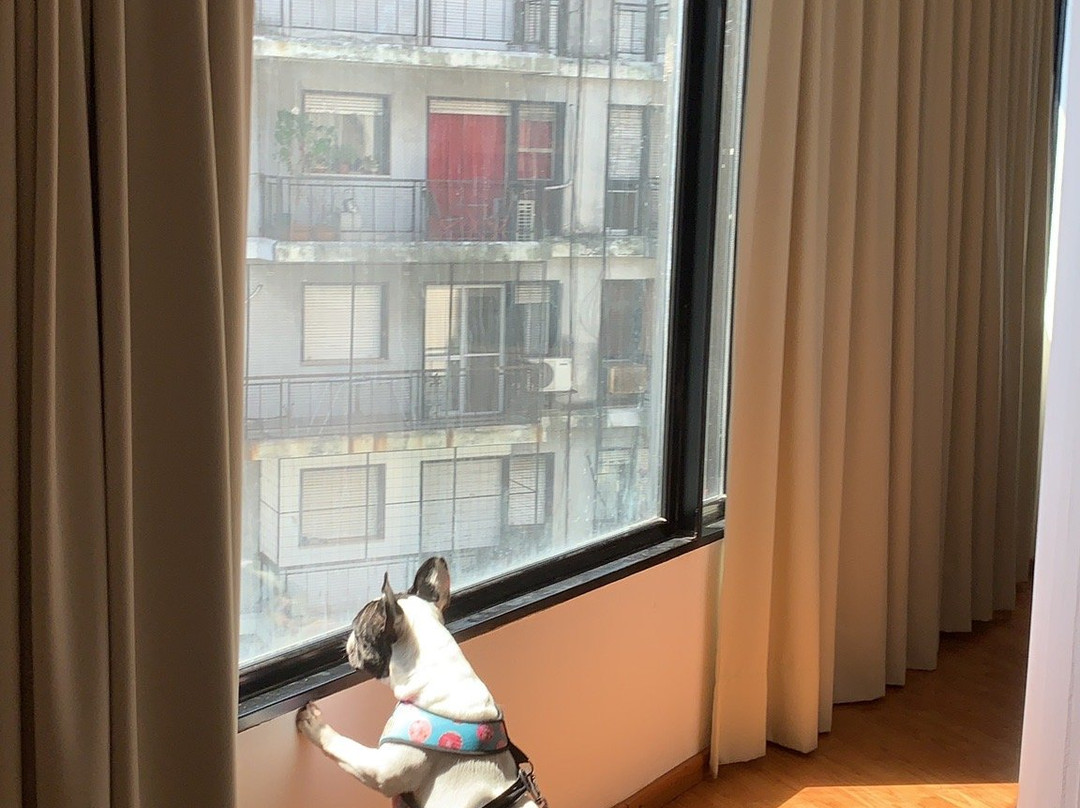 乌尔奇萨公寓&套房酒店主图