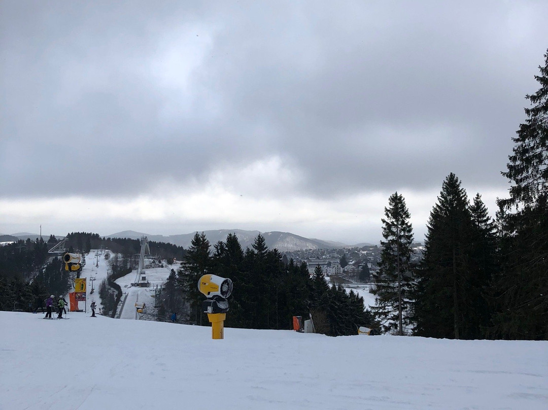 Skiliftkarussell Winterberg景点图片