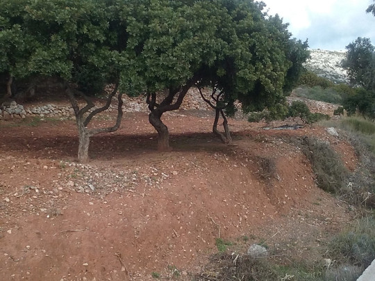 Chios Rooms MyView主图