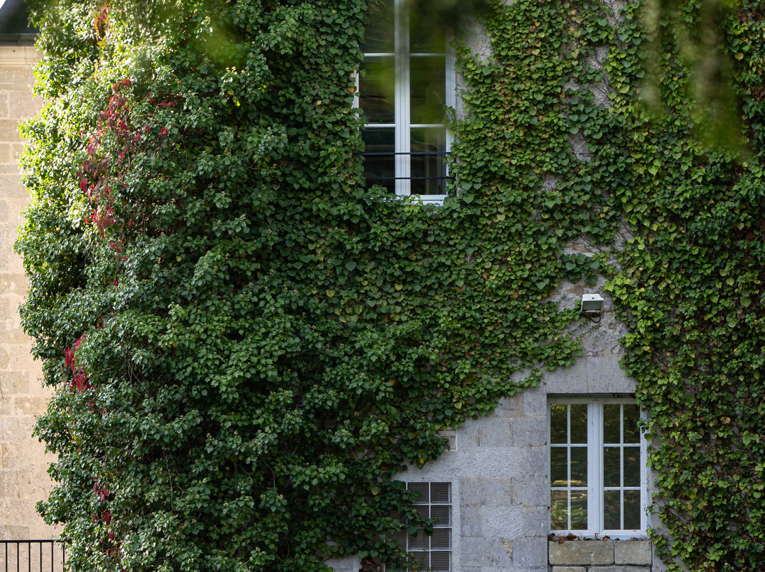 Château Laroche-Ploquin主图