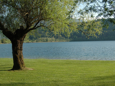 Nature Bio Hotel Elite主图