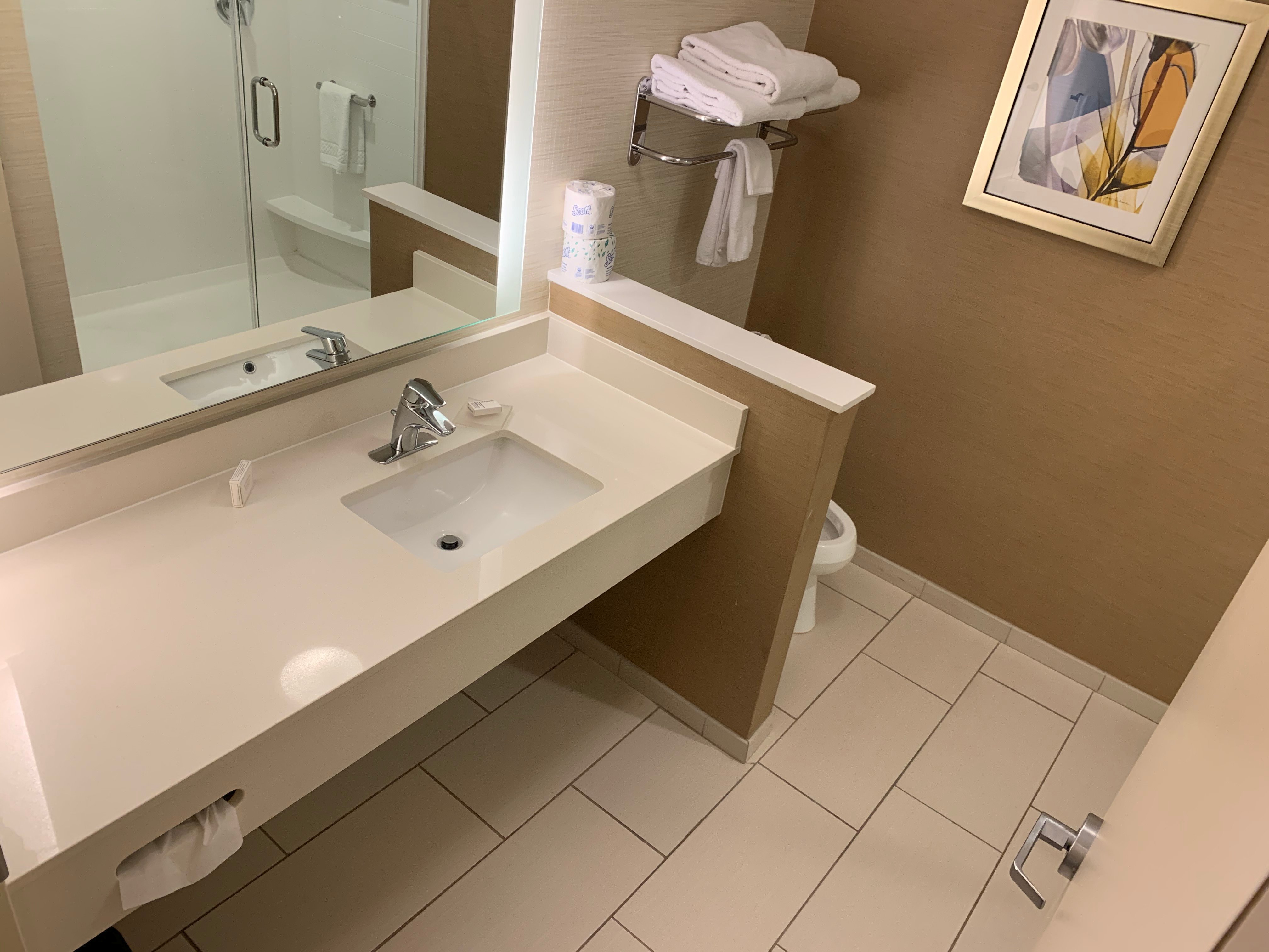 Fairfield Inn & Suites Alexandria-浴室