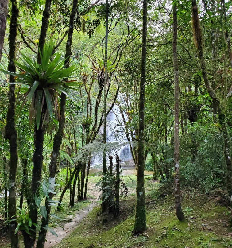 Estação Ecológica de Bananal景点图片