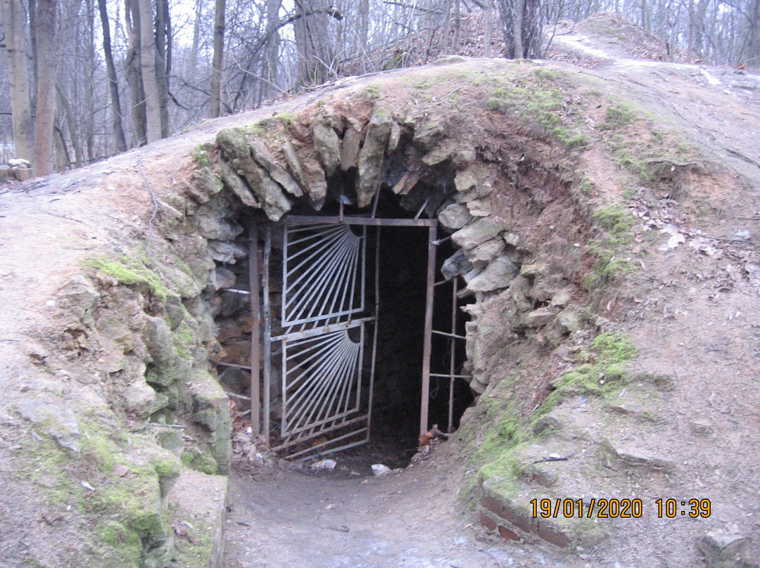 Homestead Gorenki景点图片