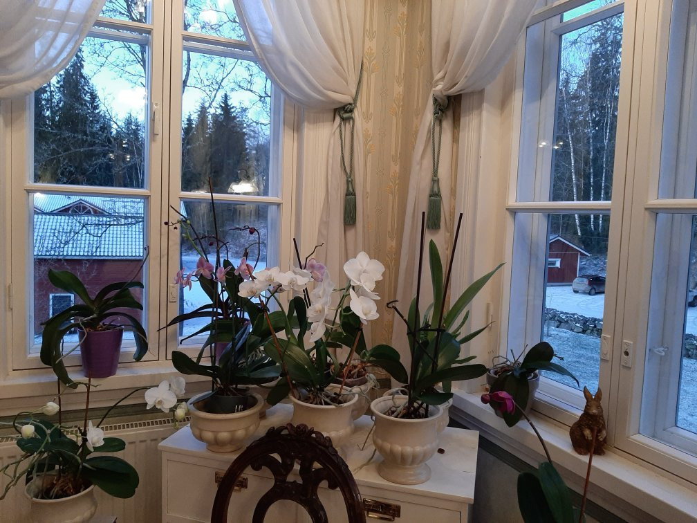 Inkalan Kartano主图